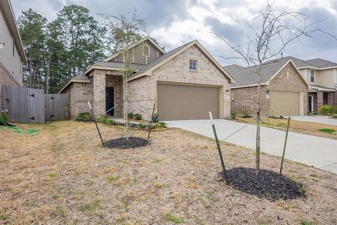 Single Family Residence in New Caney TX 19120 Cicerone Court.jpg