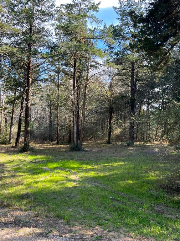 1102 Pine Crest Drive, New Ulm, Texas image 7