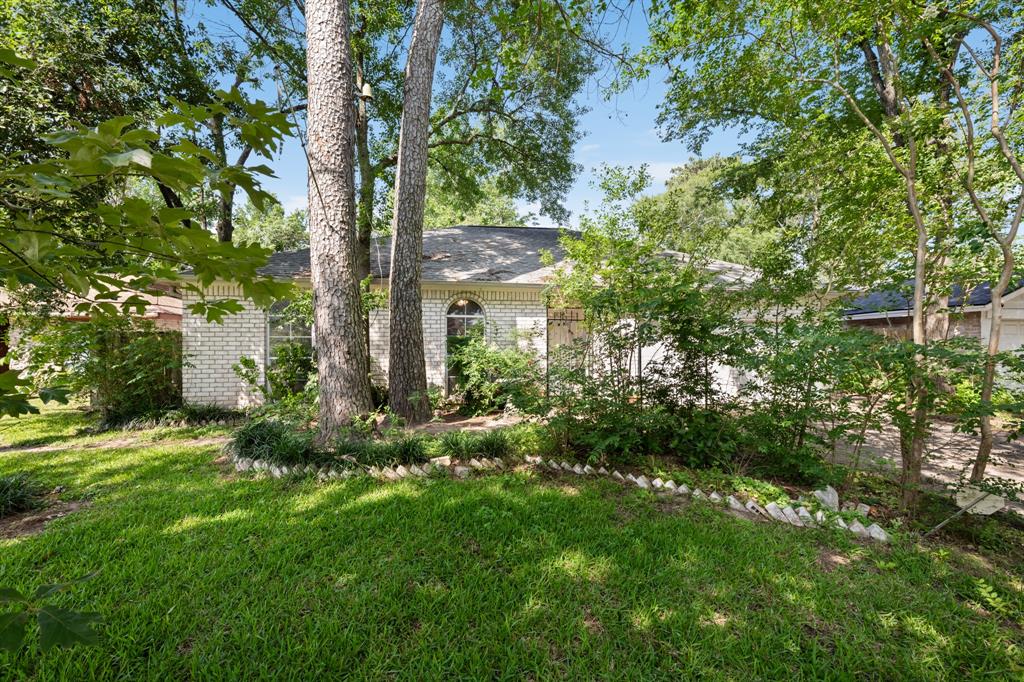 23115 Cimber Lane, Spring, Texas image 3