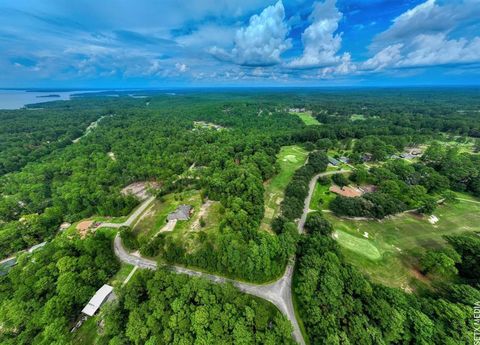 Photo of 51 Inglewood Drive E, Brookeland, TX 75931 (MLS # 47601601)
