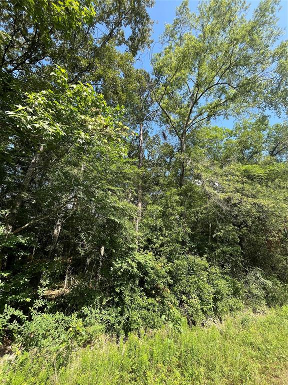 TBD Jernigan Road, Conroe, Texas image 9