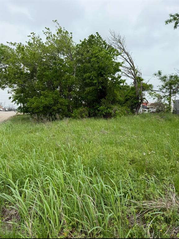 212 S Burleson Street, Giddings, Texas image 2