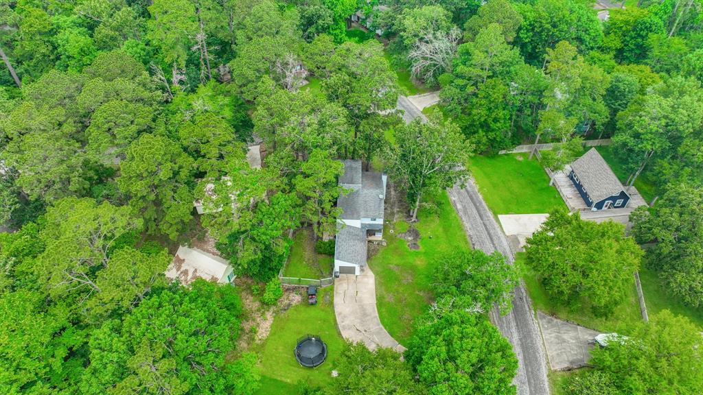 141 N Pine Harbour Drive, Coldspring, Texas image 28