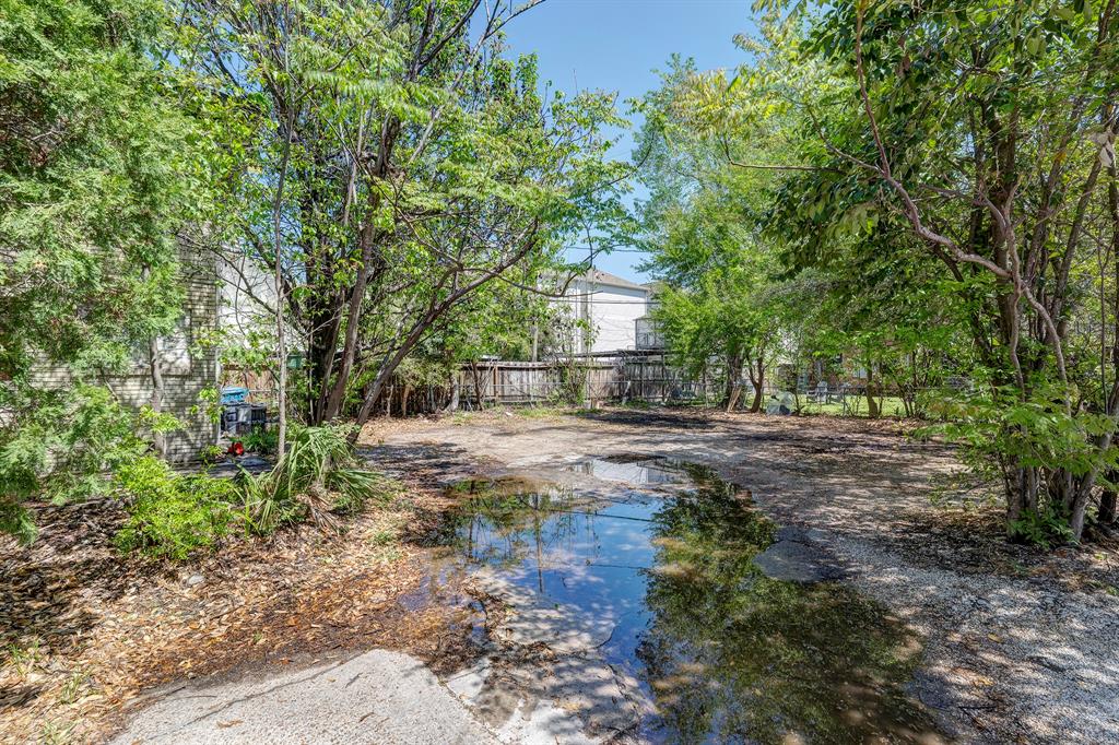 1203 Waugh Drive, Houston, Texas image 3