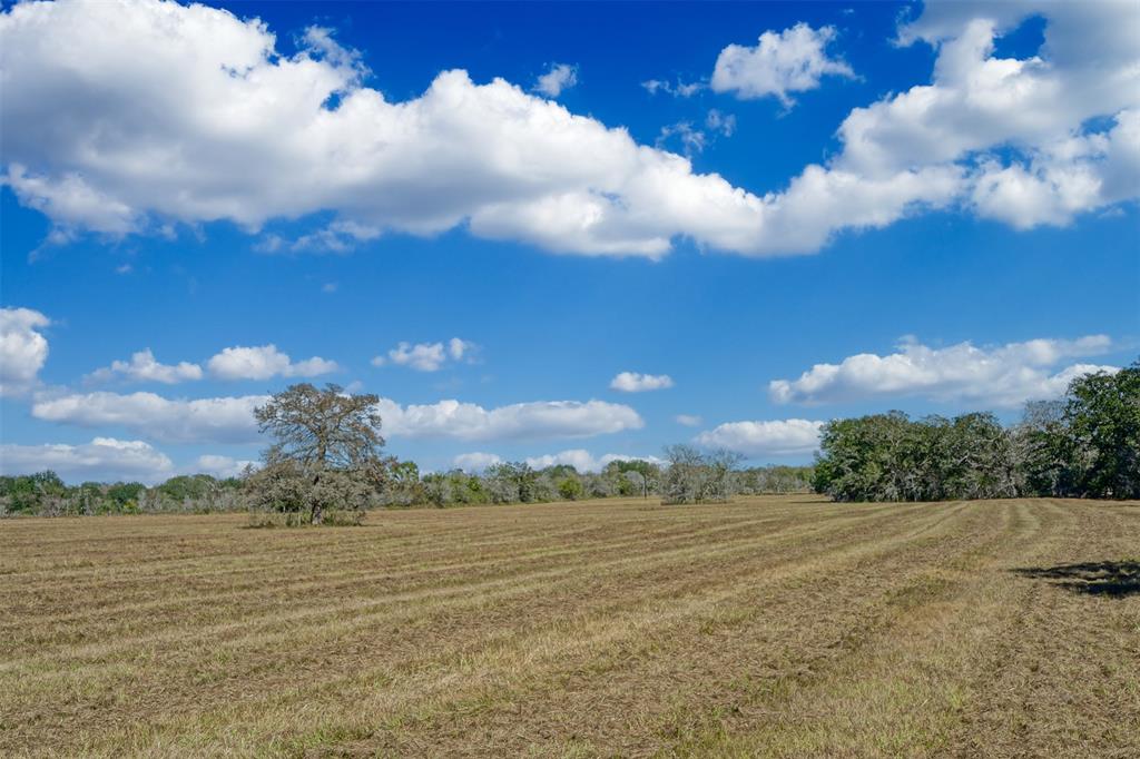 Lot 4 County Rd 229, Bedias, Texas image 8