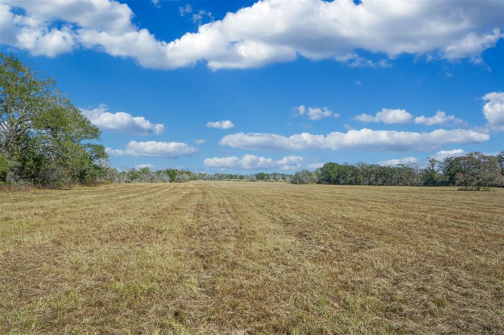 Lot 4 County Rd 229, Bedias, Texas image 7