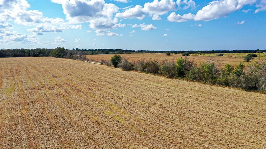 Lot 4 County Rd 229, Bedias, Texas image 10