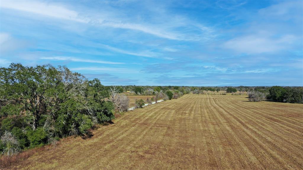 Lot 4 County Rd 229, Bedias, Texas image 6