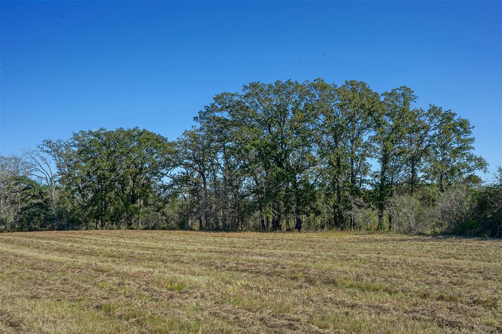 Lot 4 County Rd 229, Bedias, Texas image 5