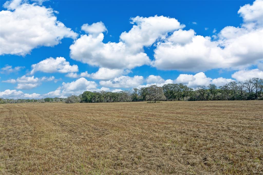 Lot 4 County Rd 229, Bedias, Texas image 3