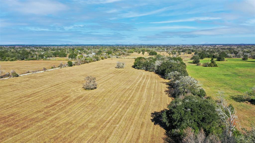 Lot 4 County Rd 229, Bedias, Texas image 4