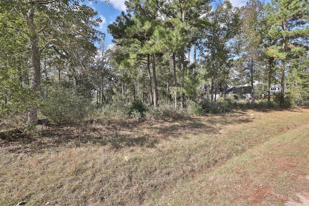 4489 Lily Bean Rd, Montgomery, Texas image 25