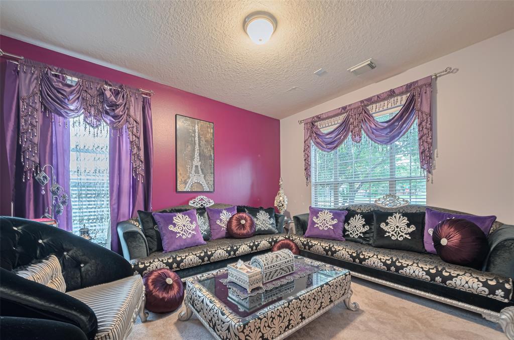 7207 Alder Springs Court, Katy, Texas image 9