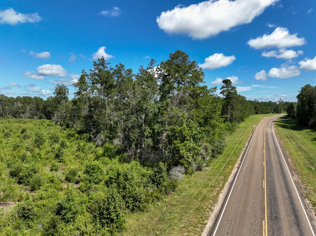 6 Fm 92, Spurger, Texas image 8