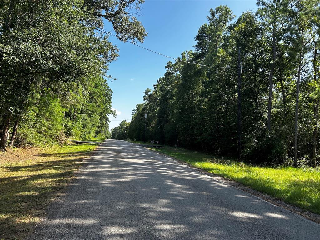 Emily Way, Hockley, Texas image 2