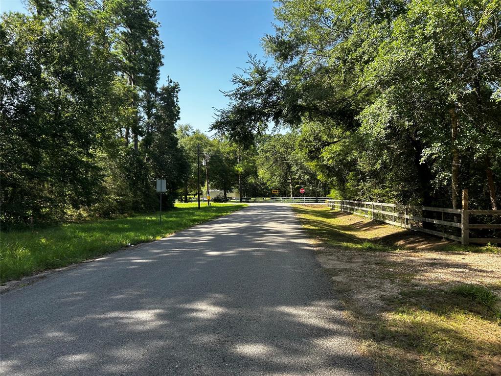 Emily Way, Hockley, Texas image 6