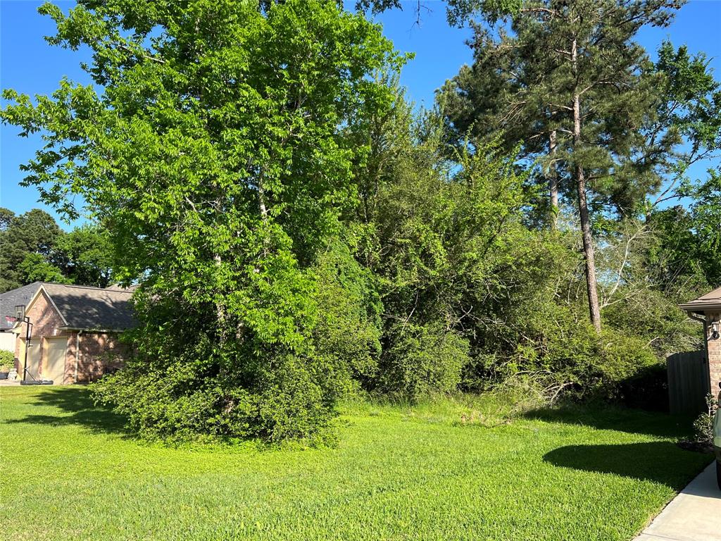 12621 Walden Road, Montgomery, Texas image 6