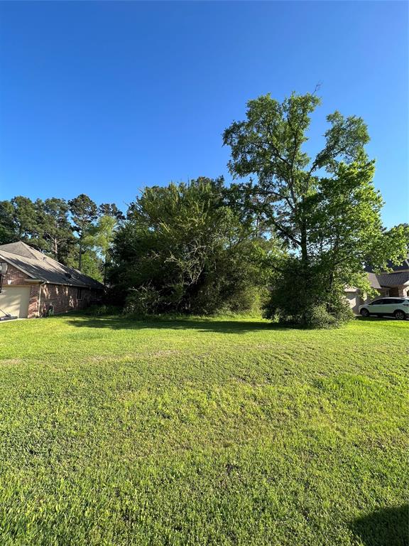12621 Walden Road, Montgomery, Texas image 4