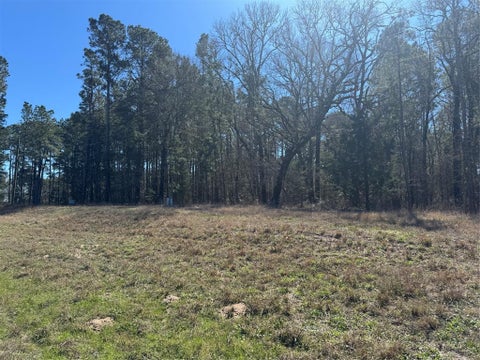 Vacant Land For Sale - TBD Us 190<br/> Point Blank, TX 77364