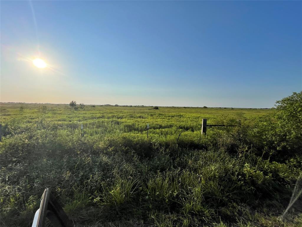 Audeane Lane, Sealy, Texas image 3