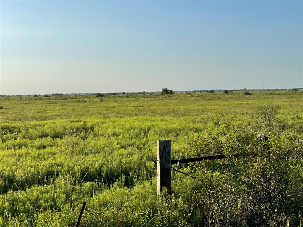 Audeane Lane, Sealy, Texas image 2