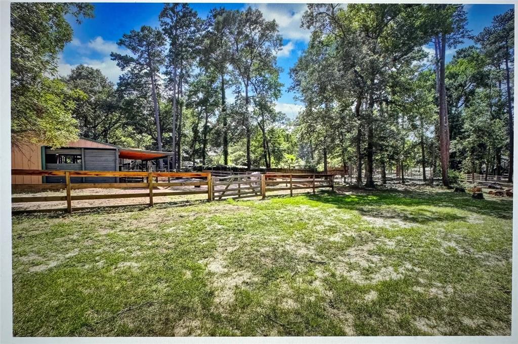 15 W Lake Forest Court, Conroe, Texas image 39
