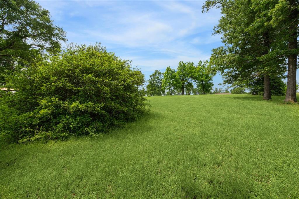 TBD Emerald Lane, Onalaska, Texas image 9