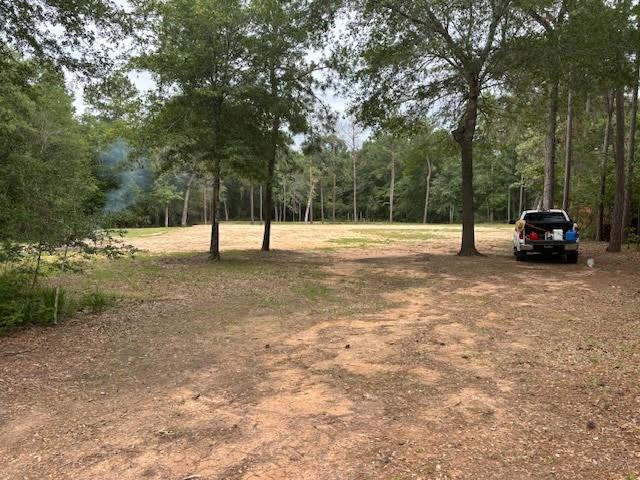 28171 Joseph Road, Hockley, Texas image 9