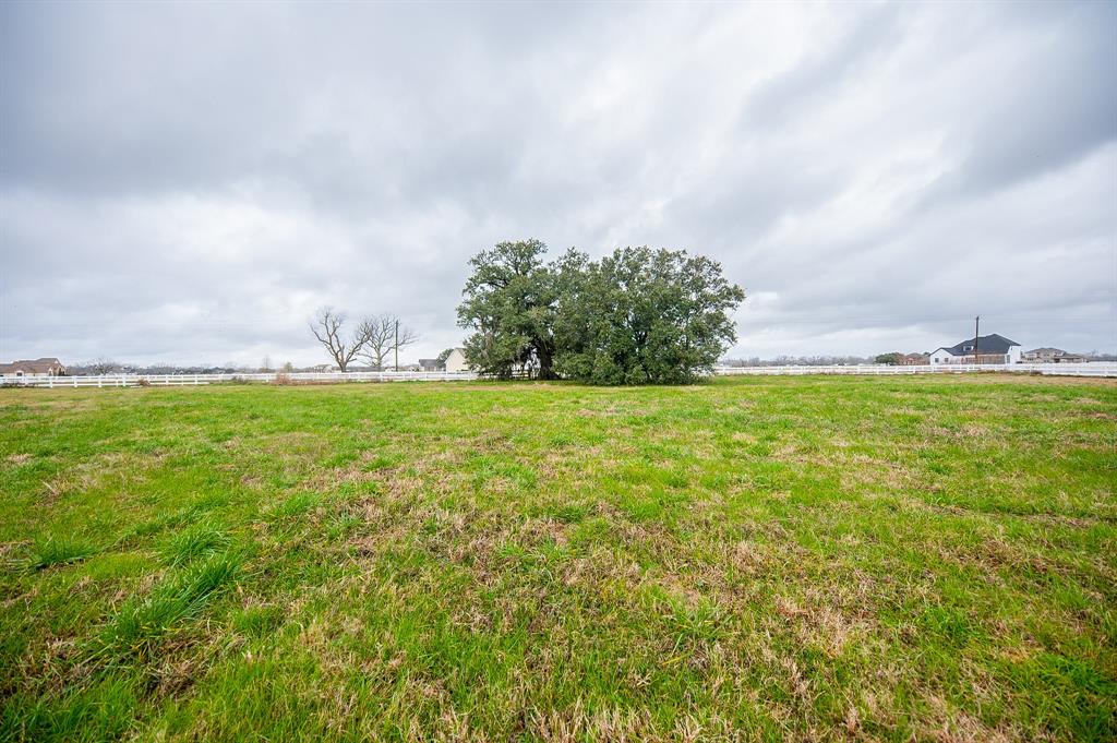 2930 Pearce Lane, Rosharon, Texas image 9