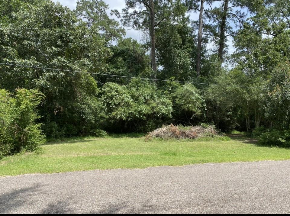 26603 Weir Way, Magnolia, Texas image 9