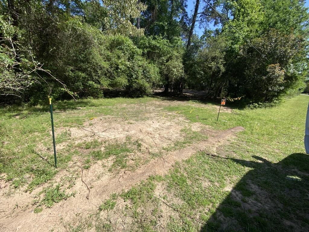 26603 Weir Way, Magnolia, Texas image 1