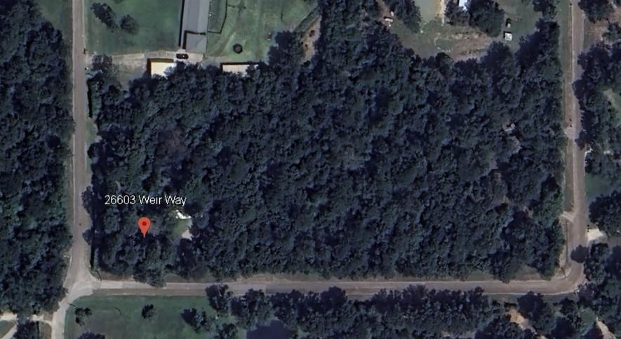 26603 Weir Way, Magnolia, Texas image 12