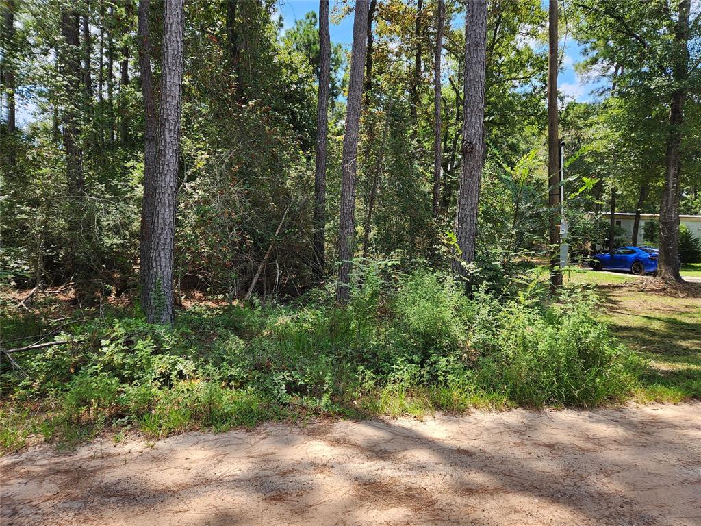 Lot 7 Coral Bean Lane, Plantersville, Texas image 7