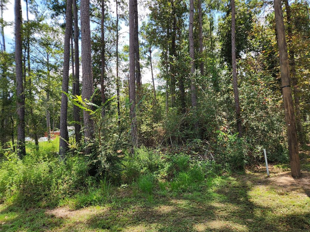 Lot 7 Coral Bean Lane, Plantersville, Texas image 2