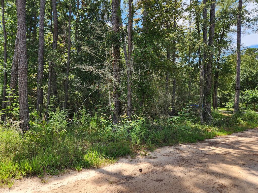 Lot 7 Coral Bean Lane, Plantersville, Texas image 10