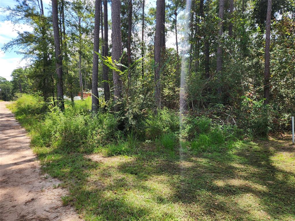 Lot 7 Coral Bean Lane, Plantersville, Texas image 1