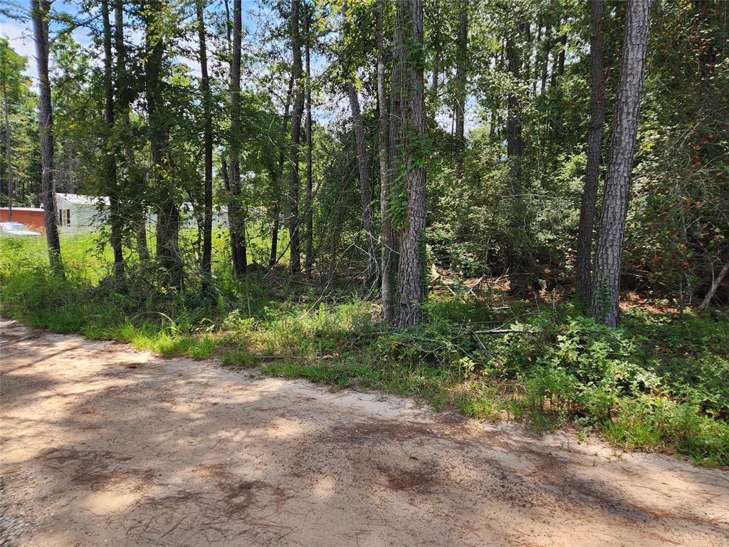 Lot 7 Coral Bean Lane, Plantersville, Texas image 6