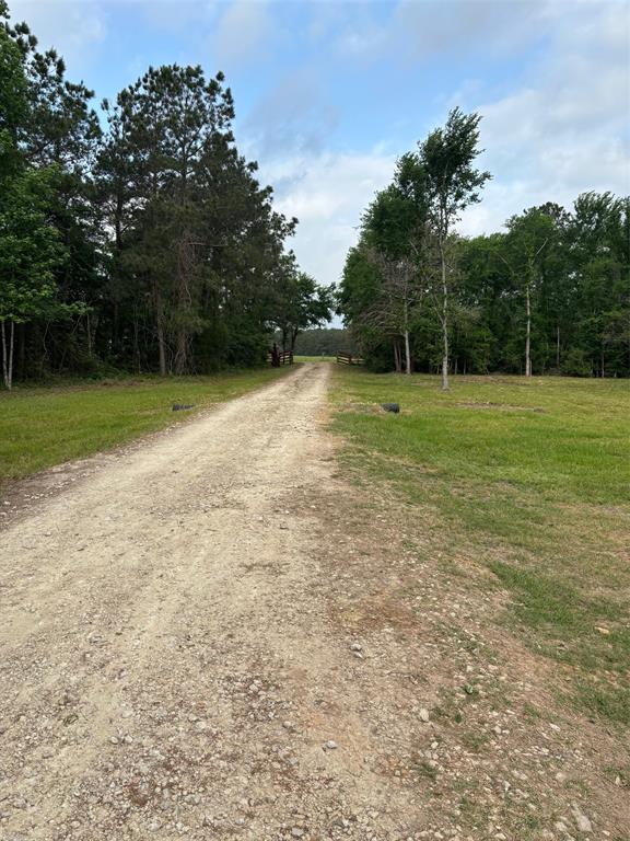207 George Wilson Road, Huntsville, Texas image 4