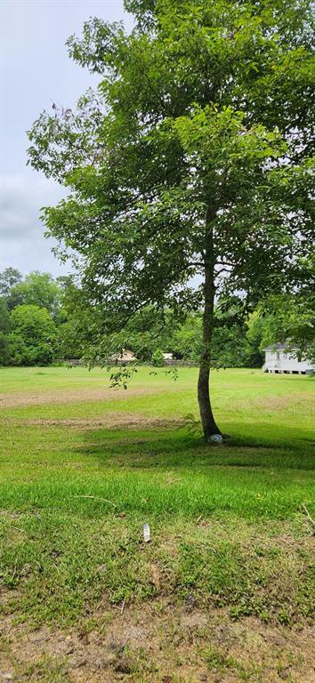 N Winfree Street, Dayton, Texas image 15