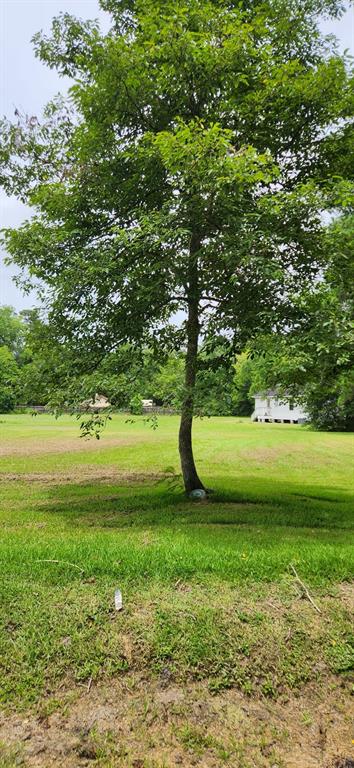 N Winfree Street, Dayton, Texas image 16