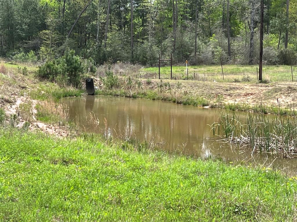 9296 County Road 302