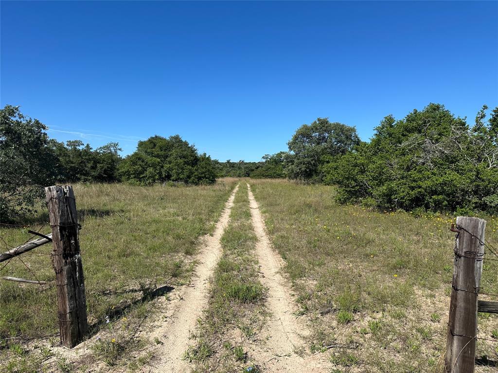 7030 Pr 3405, Buffalo, Texas image 1