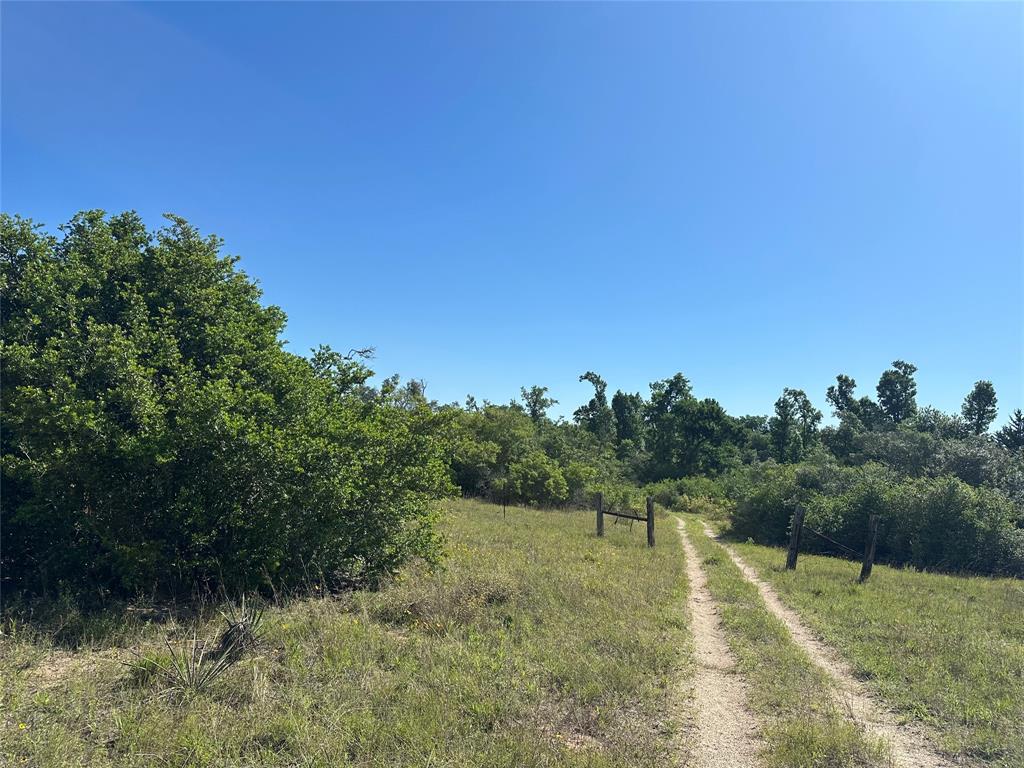 7030 Pr 3405, Buffalo, Texas image 21