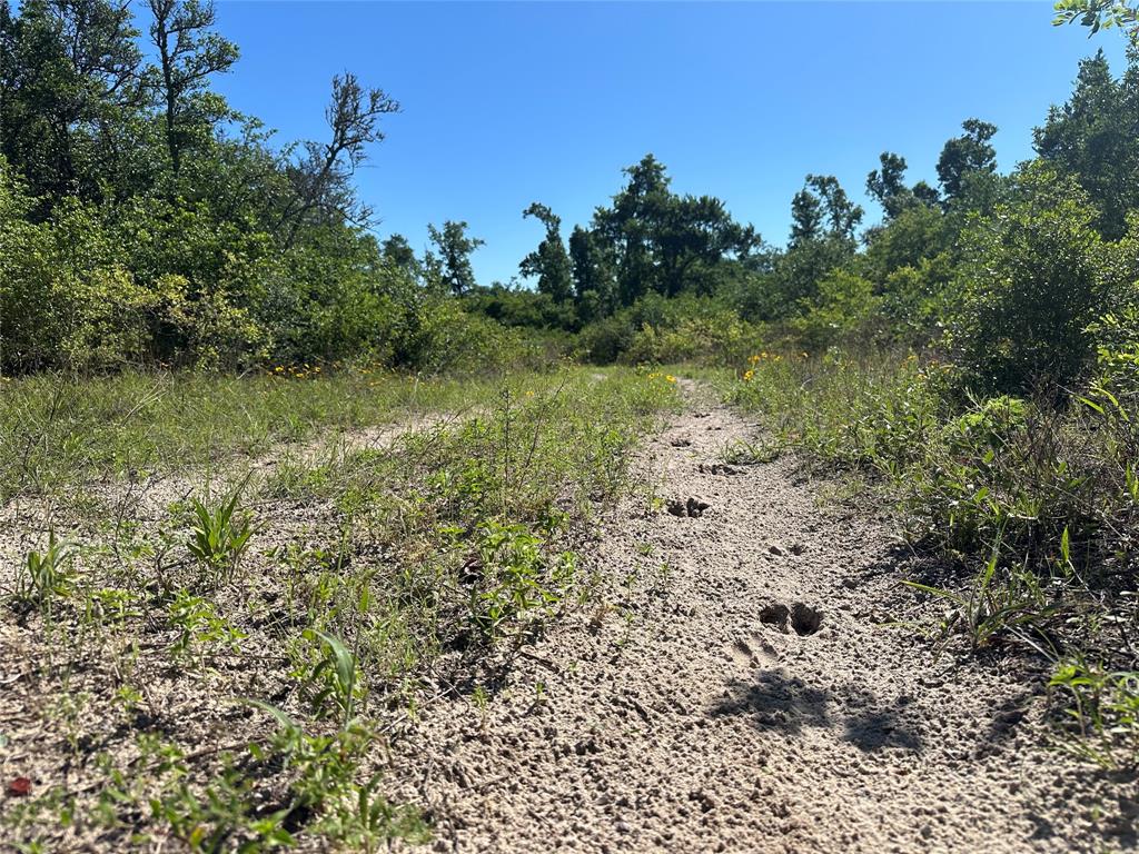 7030 Pr 3405, Buffalo, Texas image 18