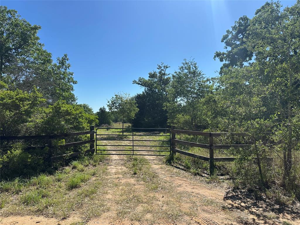 7030 Pr 3405, Buffalo, Texas image 24