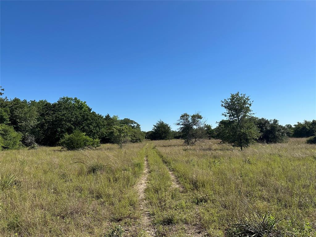 7030 Pr 3405, Buffalo, Texas image 23