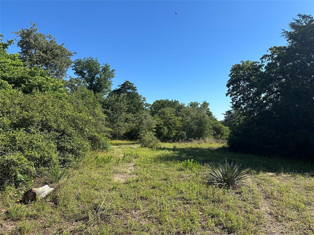7030 Pr 3405, Buffalo, Texas image 13
