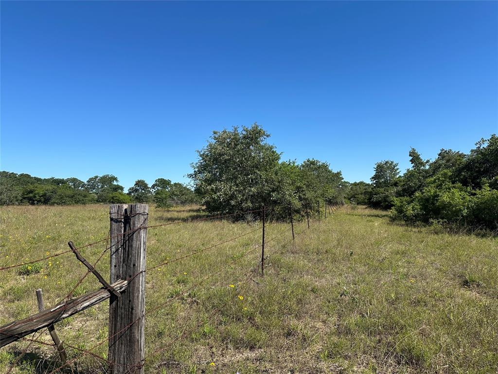 7030 Pr 3405, Buffalo, Texas image 20