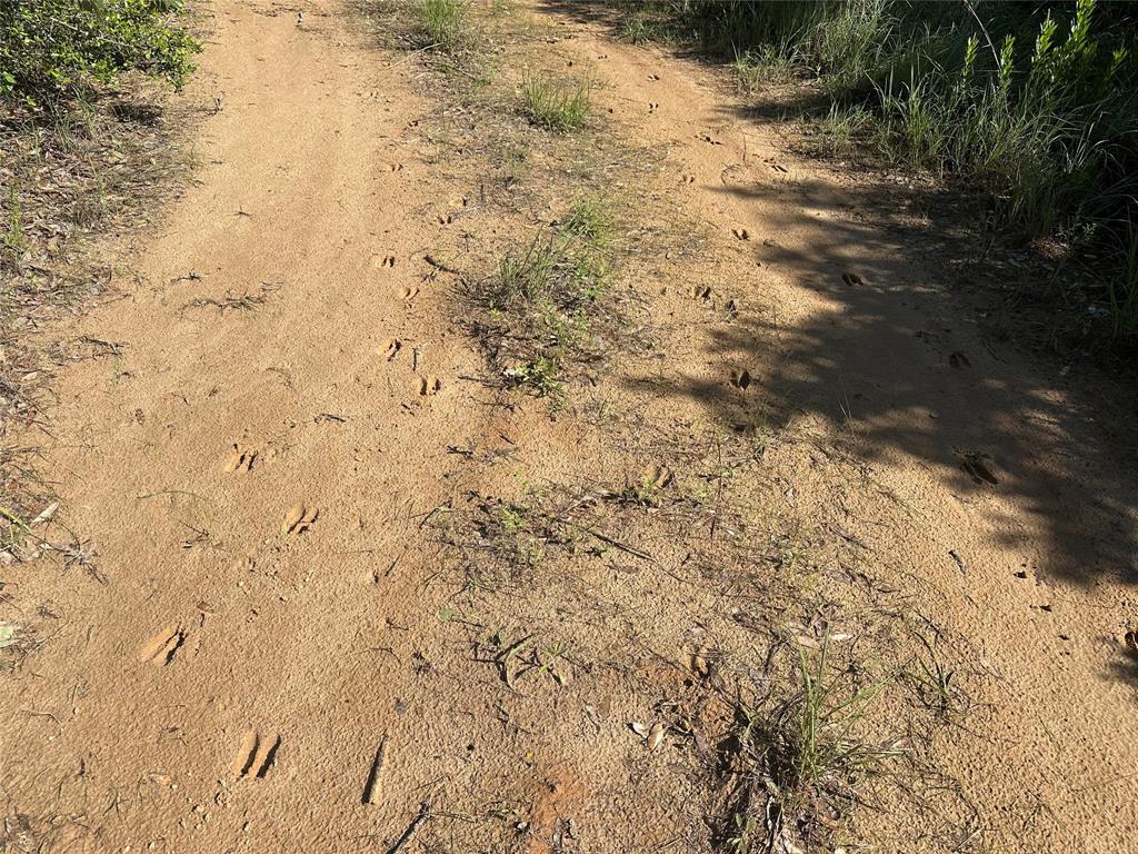 7030 Pr 3405, Buffalo, Texas image 19