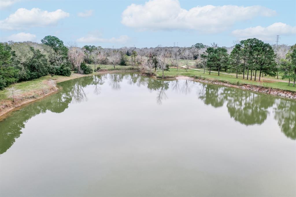 Pinebrook Drive, New Caney, Texas image 15